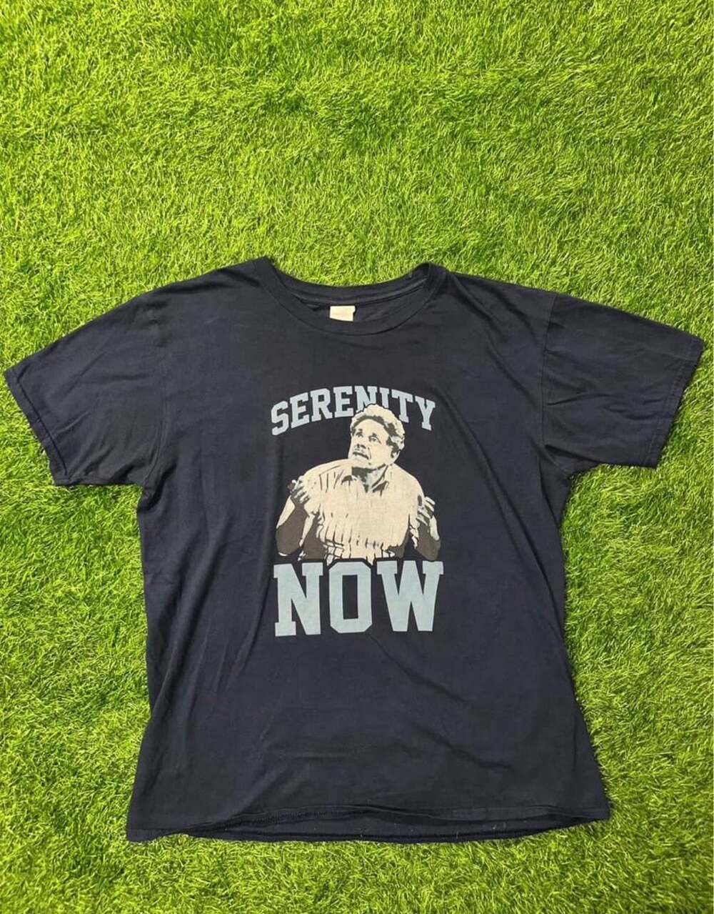 Gildan Serenity Now Frank Costanza Seinfeld T-Shirt L